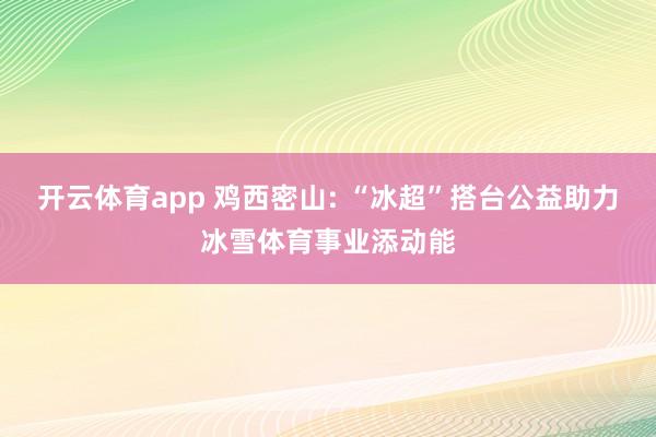 开云体育app 鸡西密山: “冰超”搭台公益助力冰雪体育事业添动能