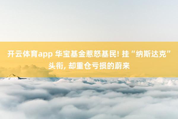 开云体育app 华宝基金惹怒基民! 挂“纳斯达克”头衔, 却重仓亏损的蔚来