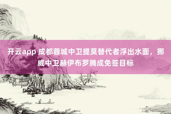 开云app 成都蓉城中卫提莫替代者浮出水面,挪威中卫赫伊布罗腾成免签目标