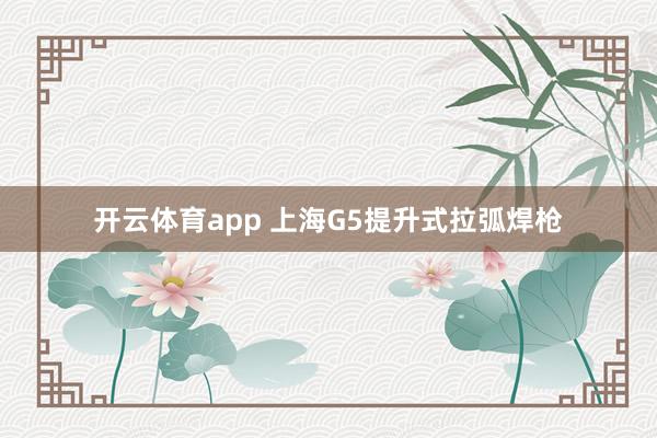 开云体育app 上海G5提升式拉弧焊枪