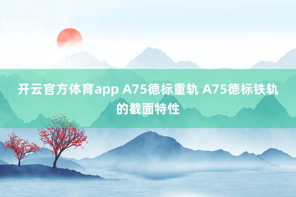 开云官方体育app A75德标重轨 A75德标铁轨的截面特性
