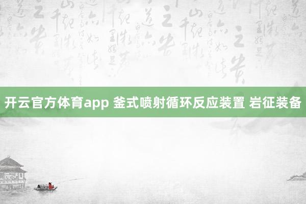 开云官方体育app 釜式喷射循环反应装置 岩征装备