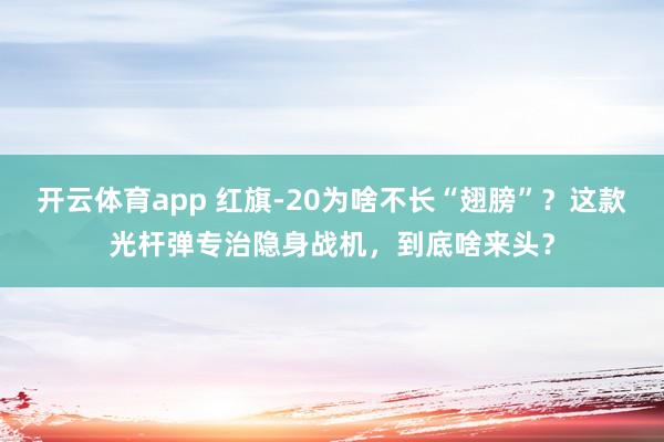 开云体育app 红旗-20为啥不长“翅膀”?这款光杆弹专治隐身战机,到底啥来头?