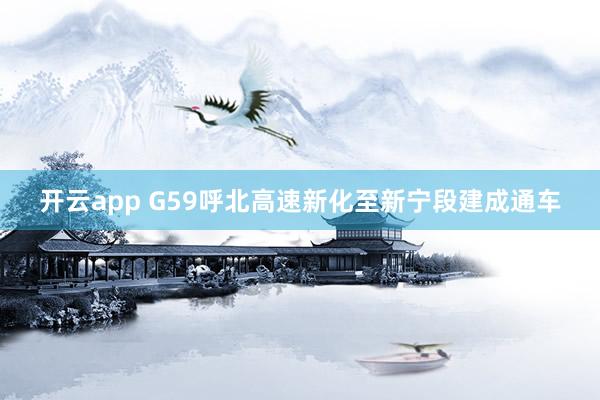 开云app G59呼北高速新化至新宁段建成通车