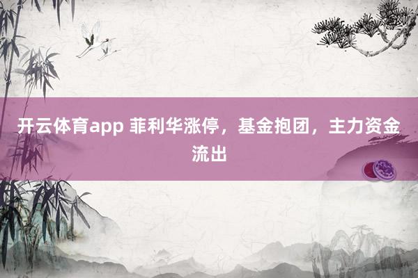 开云体育app 菲利华涨停，基金抱团，主力资金流出