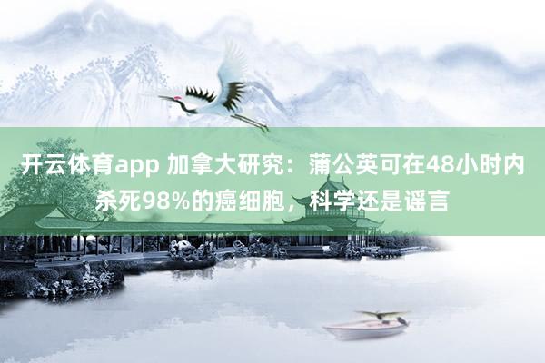 开云体育app 加拿大研究：蒲公英可在48小时内杀死98%的癌细胞，科学还是谣言