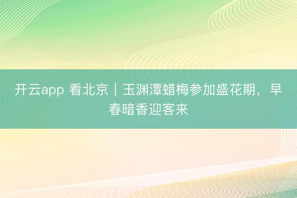 开云app 看北京|玉渊潭蜡梅参加盛花期,早春暗香迎客来